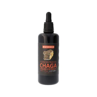 NaturKraftWerke Chaga champignon vital, extrait liquide concentré