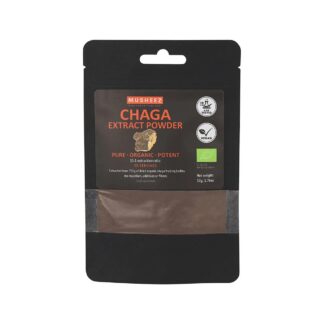 NaturKraftWerke Chaga champignon extrait poudre